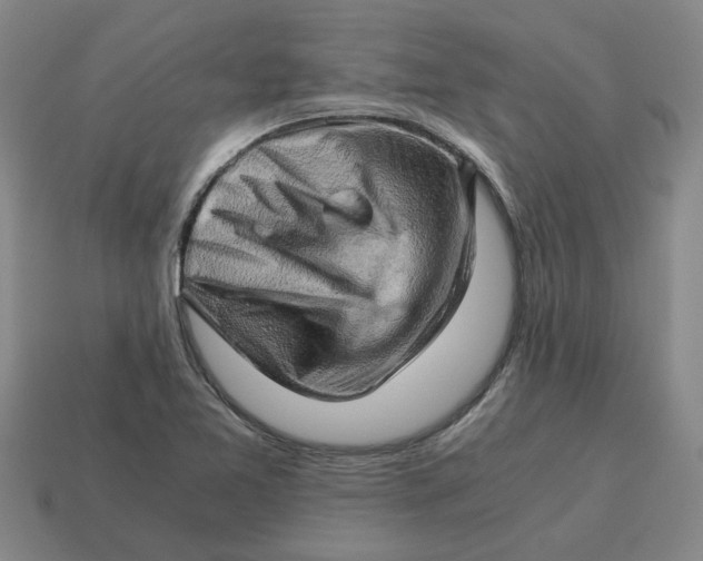 X0000114431365200911061634