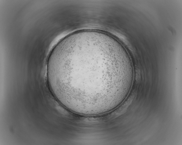 X0000114431366200911061634