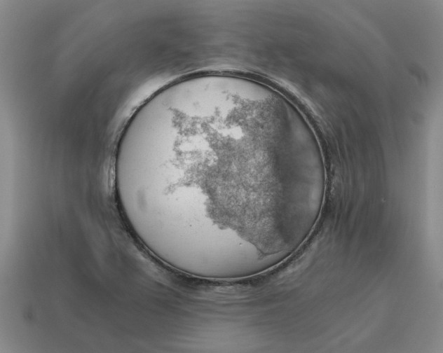 X0000114431367200911061634