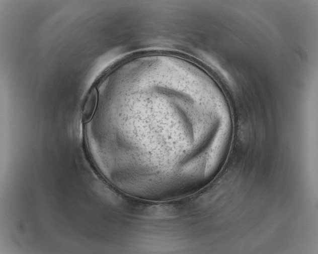X0000114431368200911061634