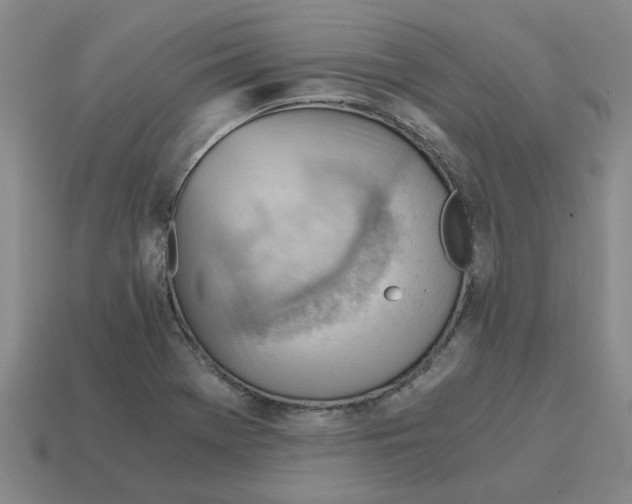 X0000114431369200911061634