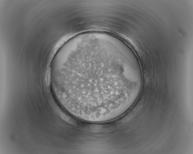 X0000114431371200911061634