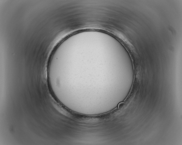 X0000114431372200911061634