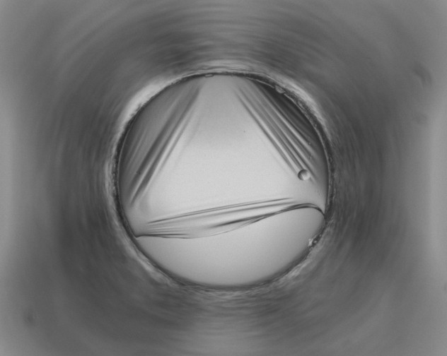 X0000114431373200911061634
