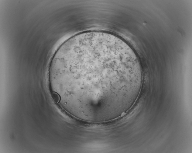 X0000114431375200911061634
