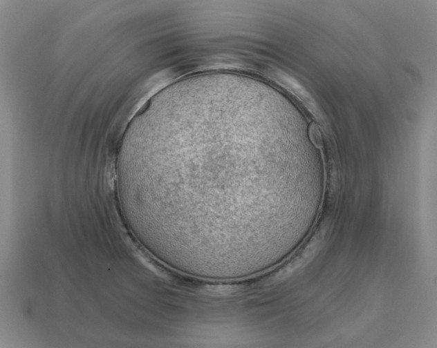 X0000114431377200911061634