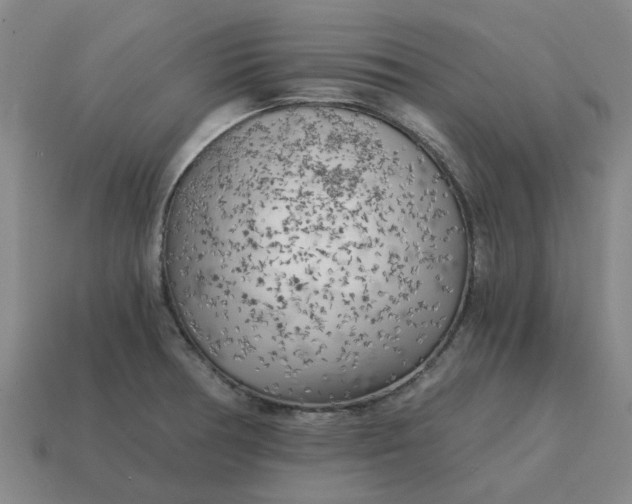 X0000114431378200911061634
