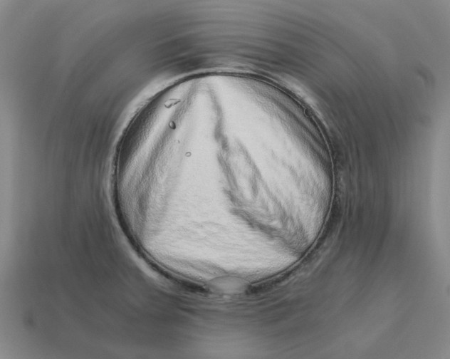 X0000114431379200911061634