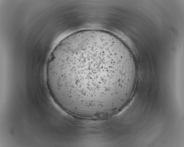 X0000114431382200911061634