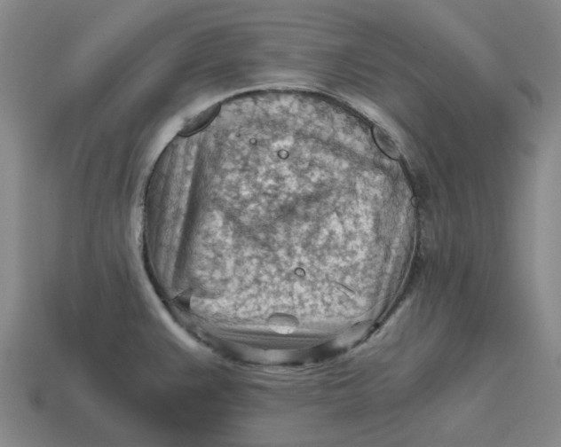 X0000114431383200911061634