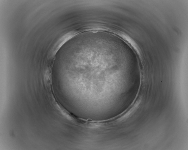 X0000114431385200911061634