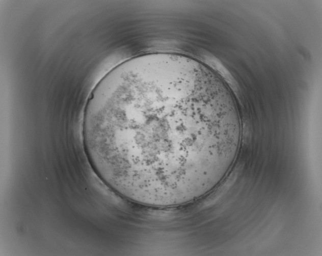 X0000114431386200911061634