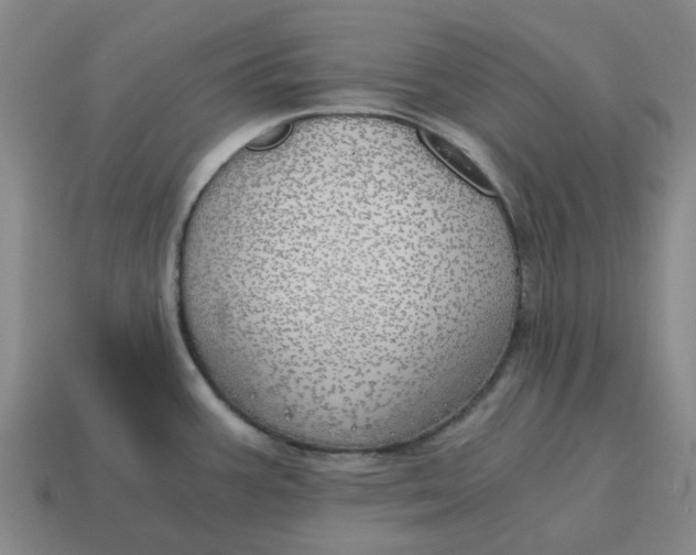 X0000114431387200911061634