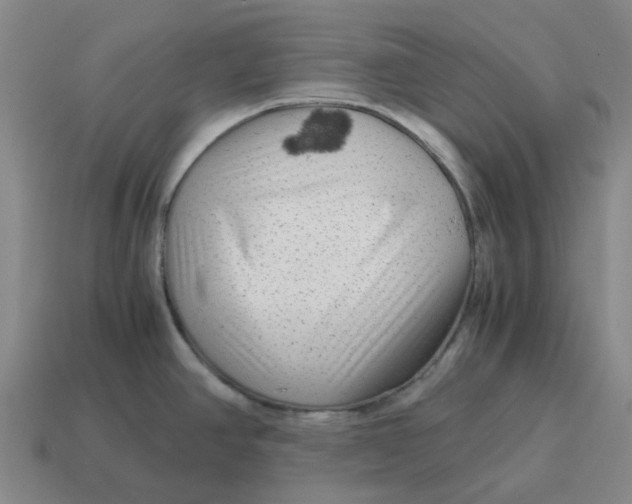 X0000114431390200911061634