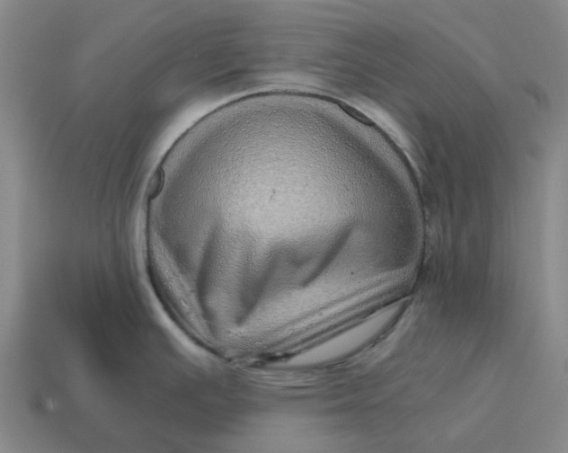 X0000114431391200911061634