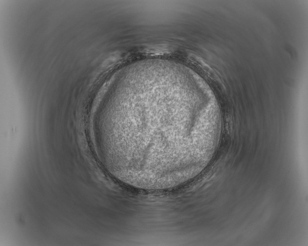 X0000114431393200911061633