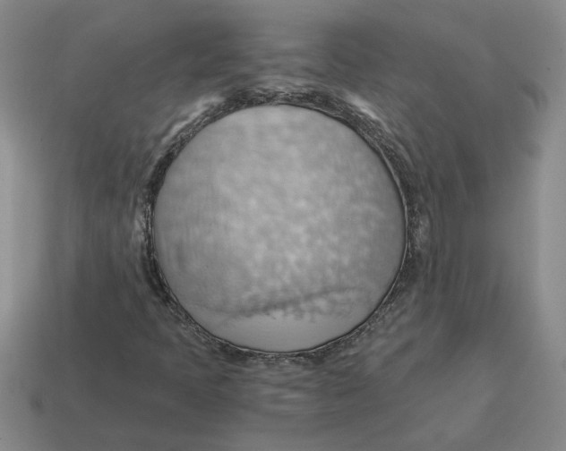 X0000114431397200911061633