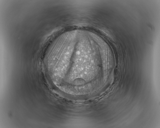 X0000114431398200911061633