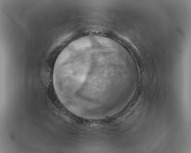 X0000114431399200911061633