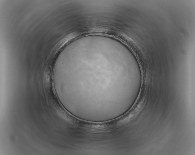 X0000114431401200911061633