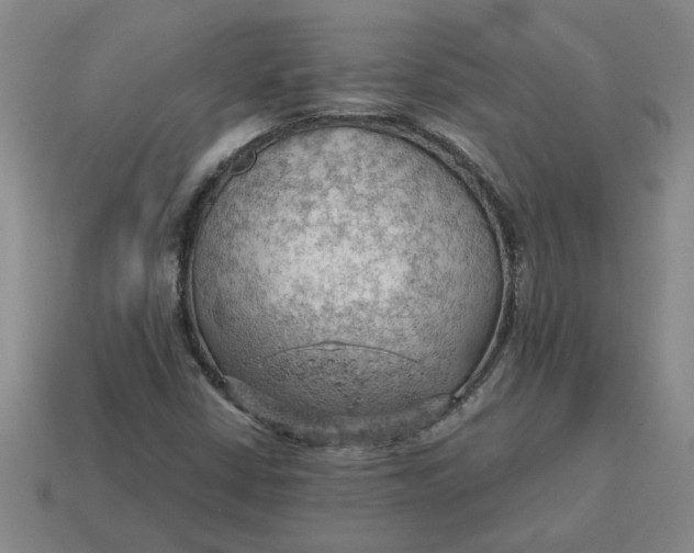 X0000114431402200911061633