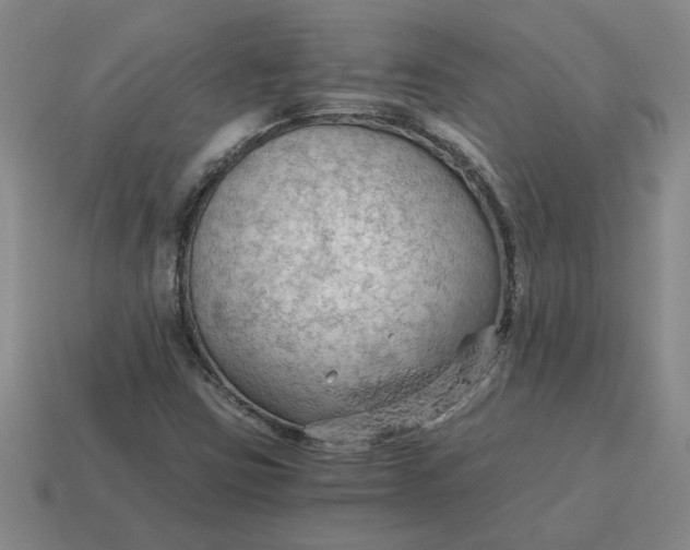 X0000114431403200911061633
