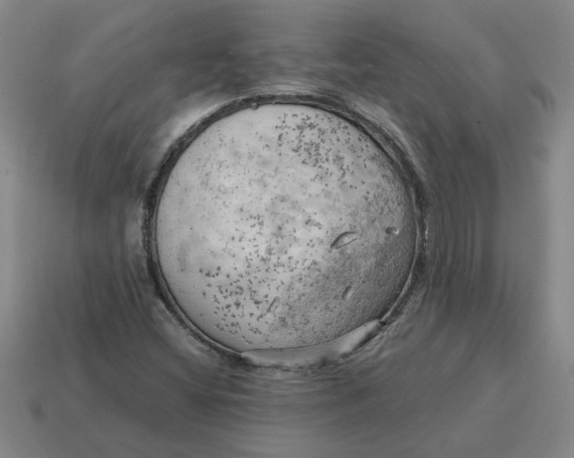 X0000114431404200911061633