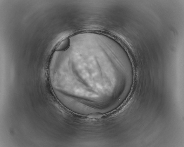 X0000114431405200911061633