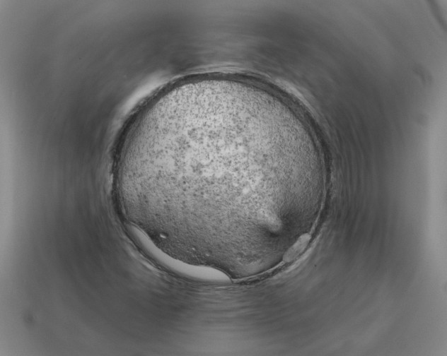 X0000114431406200911061633
