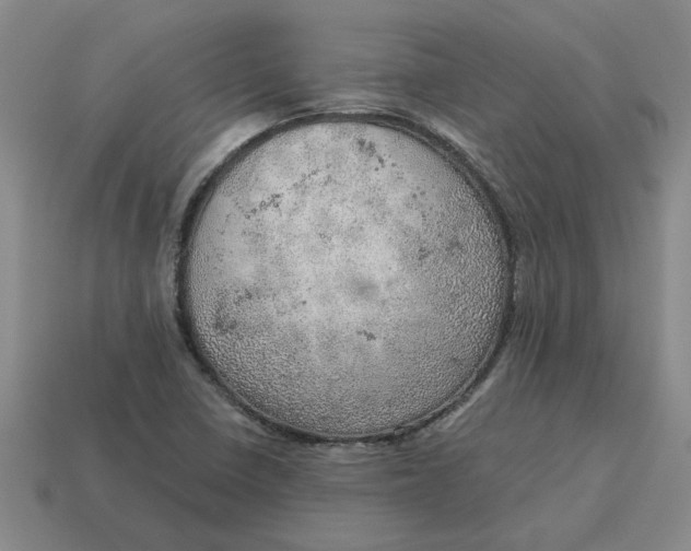 X0000114431410200911061634
