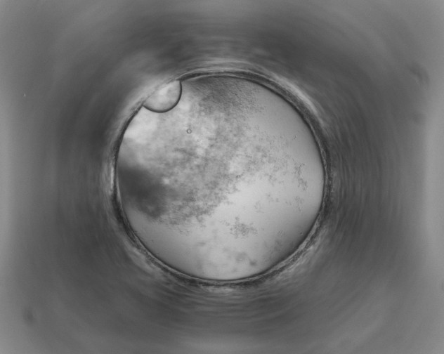 X0000114431413200911061634