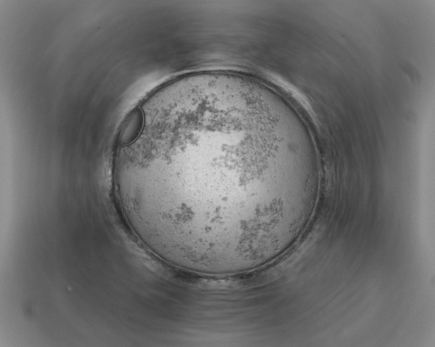 X0000114431415200911061634
