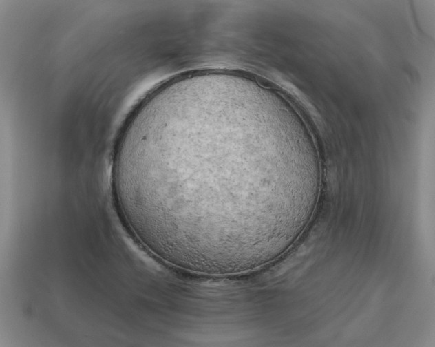 X0000114431416200911061634