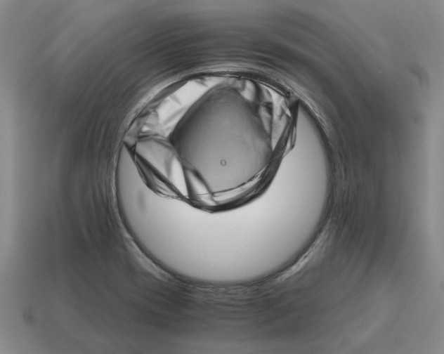 X0000114431417200911061634