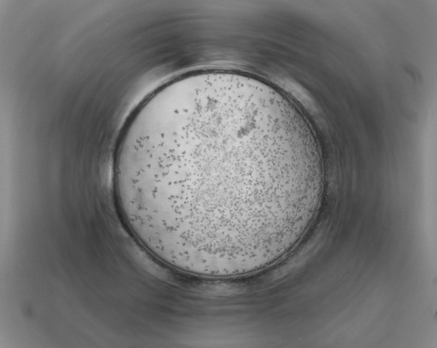 X0000114431420200911061634