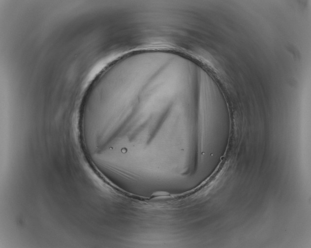 X0000114431422200911061634