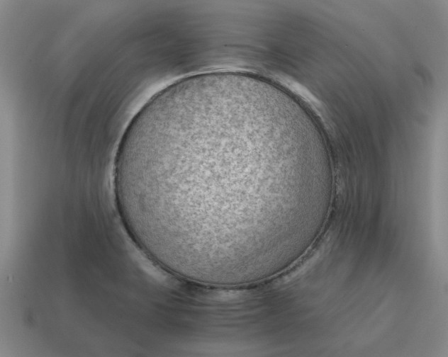 X0000114431423200911061634