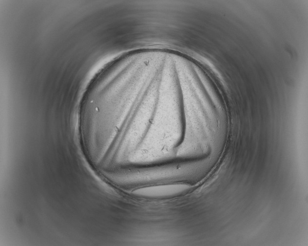 X0000114431424200911061634