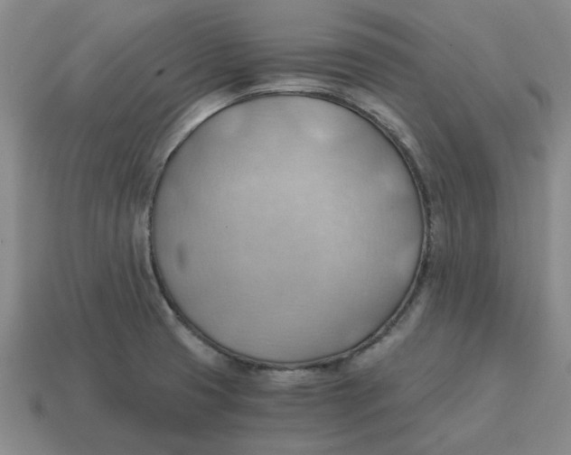 X0000114431425200911061634