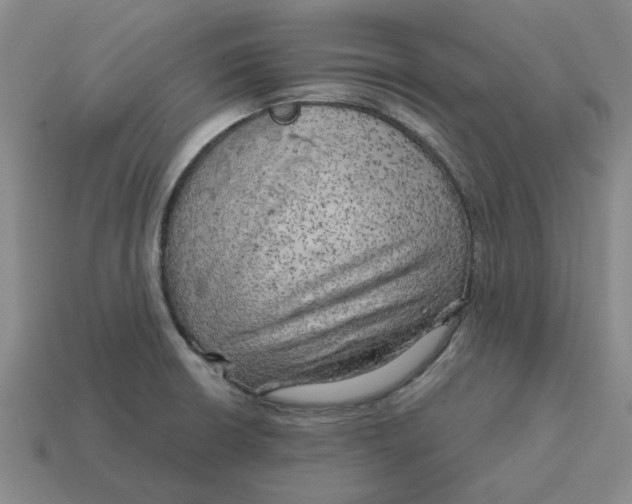 X0000114431426200911061634