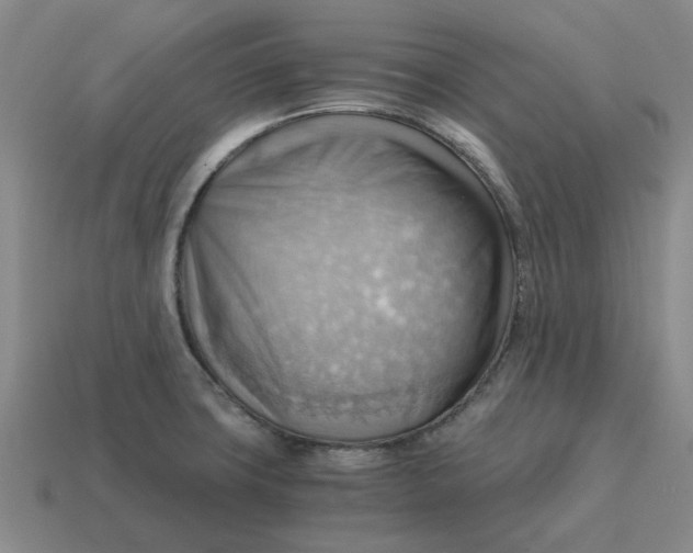 X0000114431427200911061634