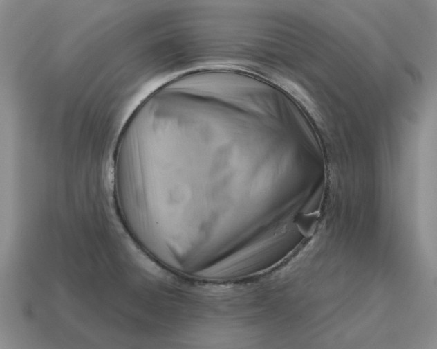 X0000114431428200911061634