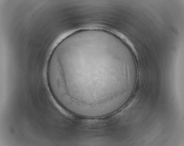 X0000114431429200911061634