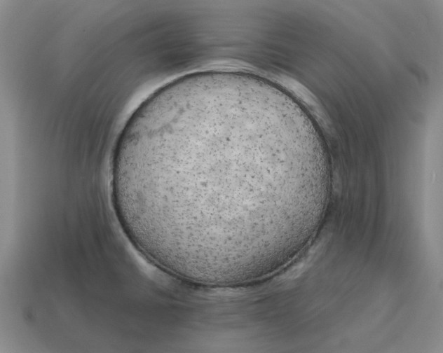 X0000114431430200911061634