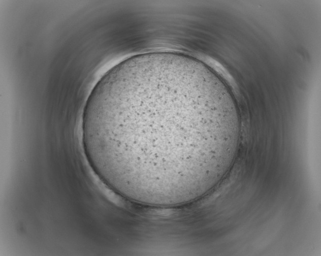 X0000114431431200911061634