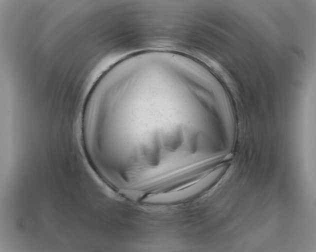 X0000114431432200911061634