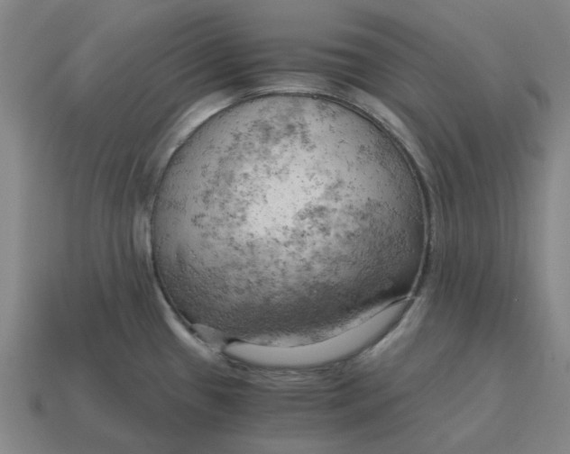 X0000114431433200911061634