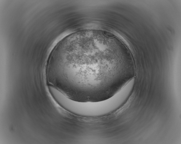 X0000114431434200911061634