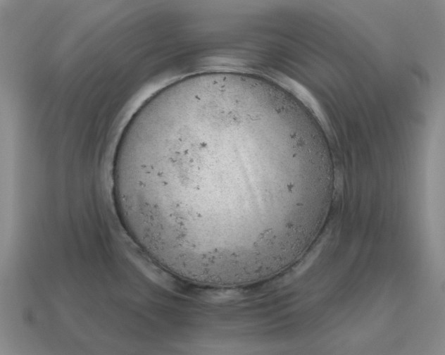X0000114431435200911061634