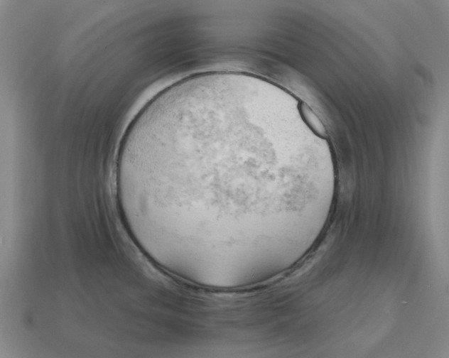 X0000114431436200911061634
